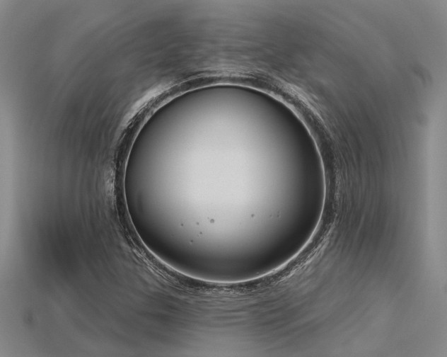 X0000115831307200911131457