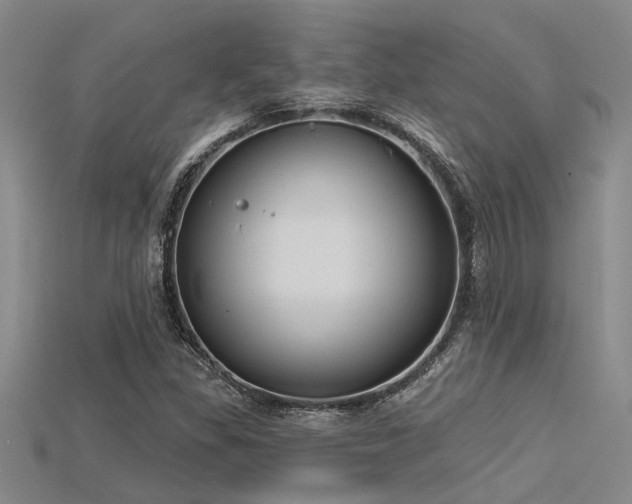 X0000115831309200911131457