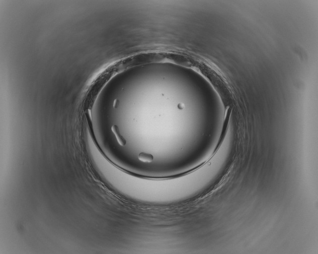 X0000115831310200911131457