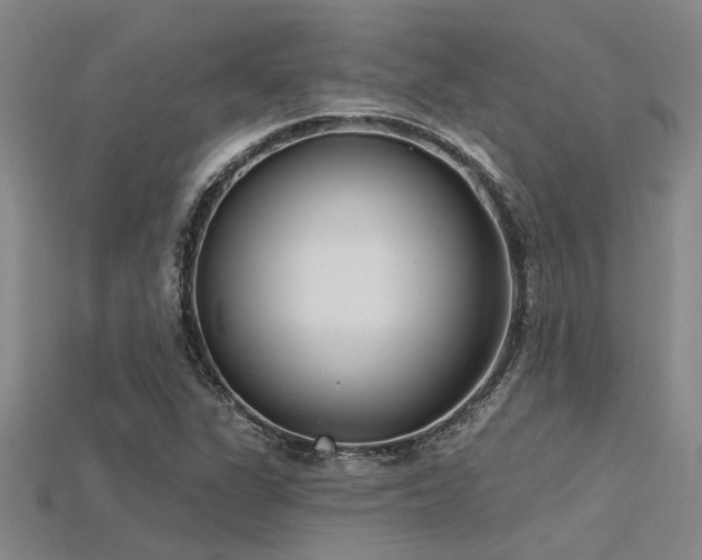 X0000115831311200911131457