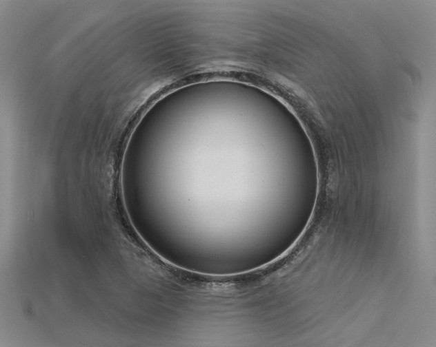 X0000115831313200911131457