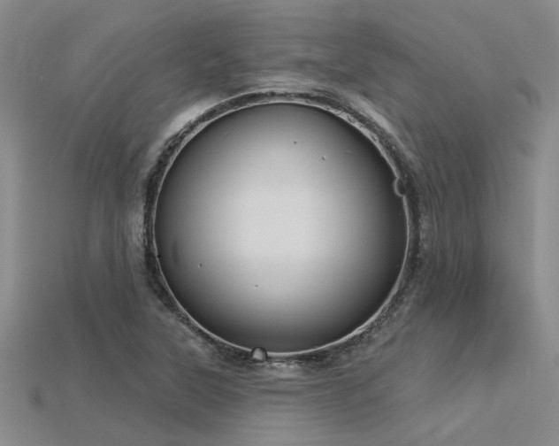 X0000115831315200911131457