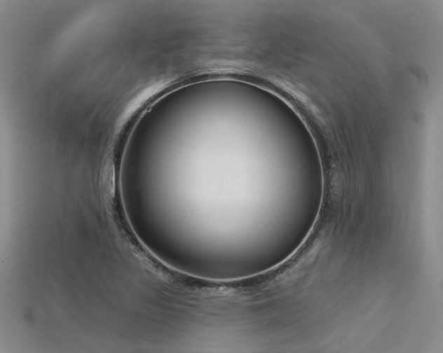 X0000115831317200911131457