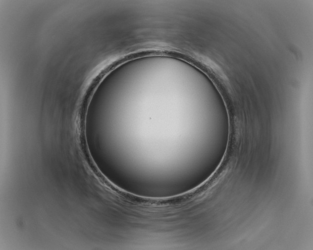 X0000115831318200911131457