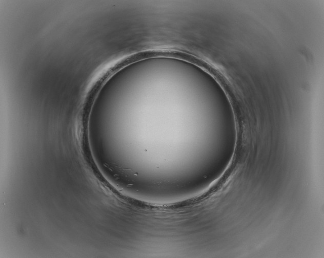 X0000115831319200911131457