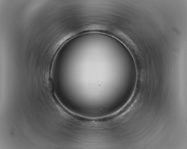 X0000115831321200911131457