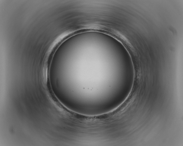 X0000115831323200911131457