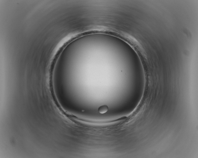 X0000115831326200911131457