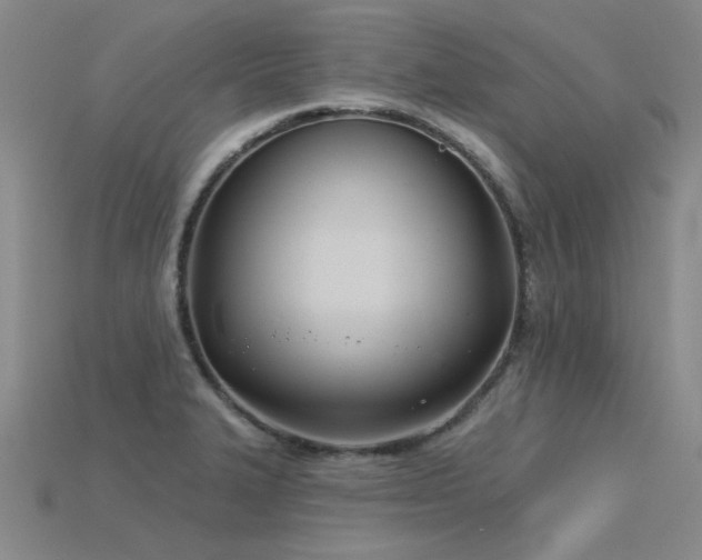 X0000115831327200911131457