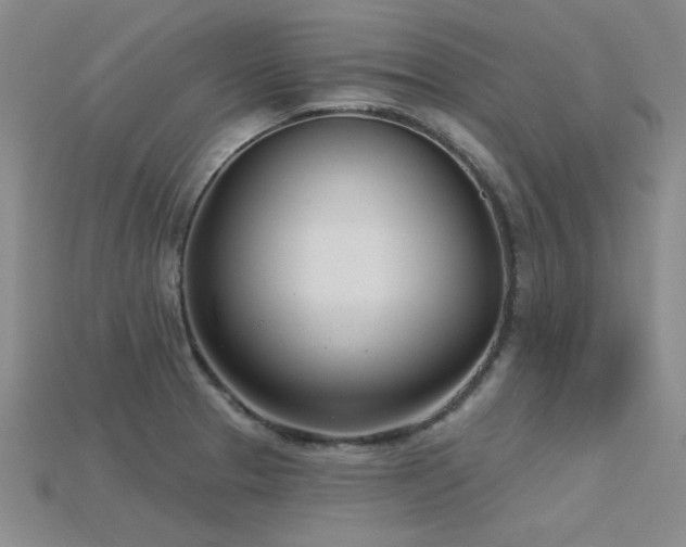 X0000115831329200911131457