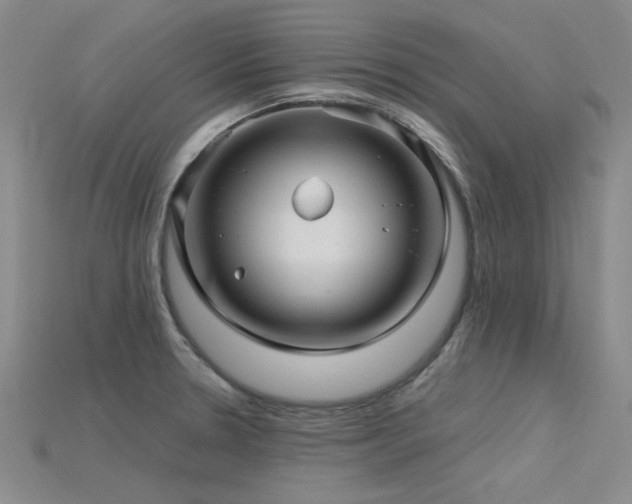 X0000115831330200911131457