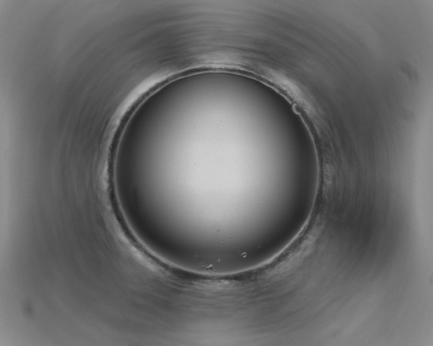 X0000115831331200911131457