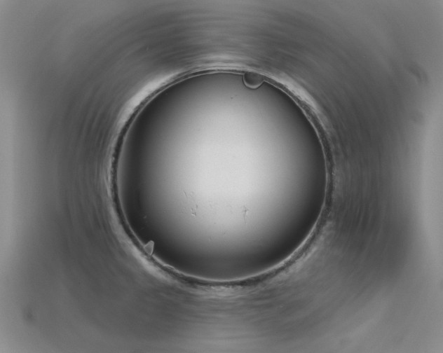 X0000115831333200911131457