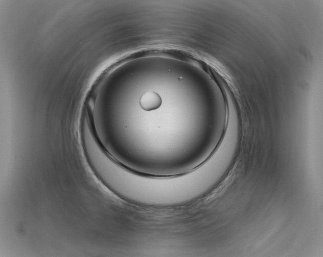 X0000115831334200911131457