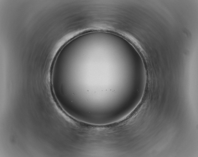 X0000115831335200911131457