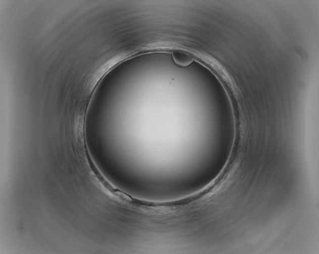 X0000115831337200911131457