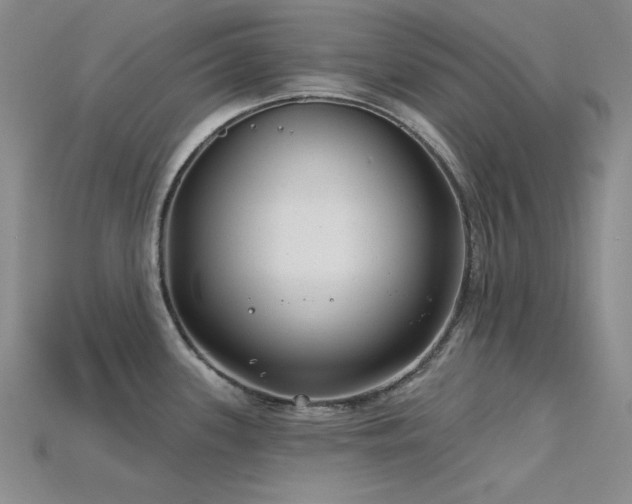 X0000115831339200911131457