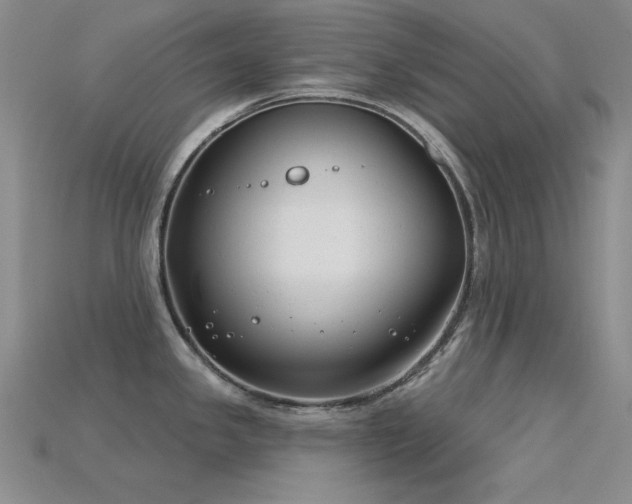 X0000115831341200911131457