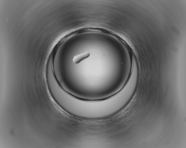 X0000115831342200911131457