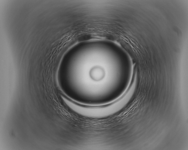 X0000115831345200911131457