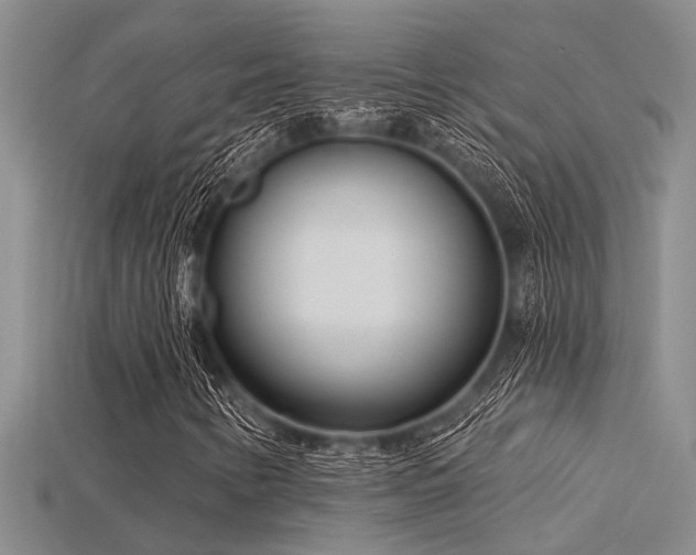 X0000115831346200911131457