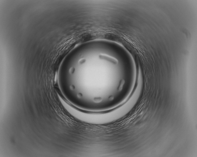 X0000115831348200911131457