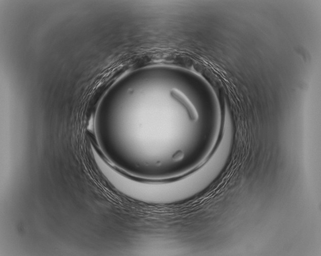 X0000115831349200911131457