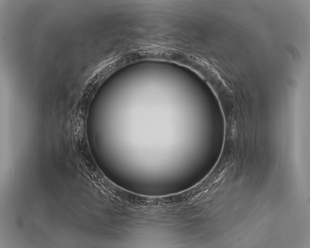 X0000115831350200911131457