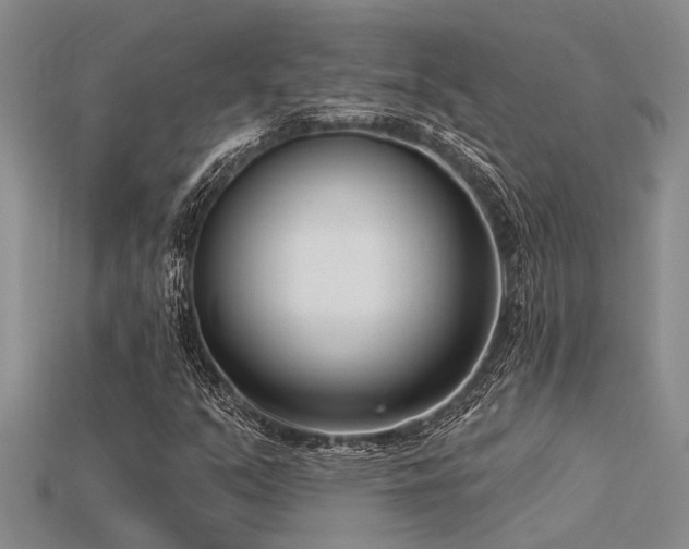 X0000115831351200911131457