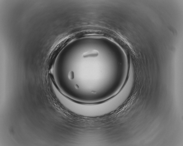 X0000115831352200911131457