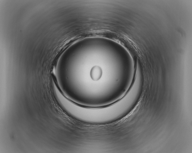 X0000115831353200911131457