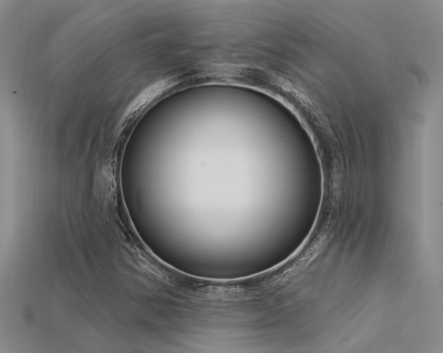 X0000115831354200911131457