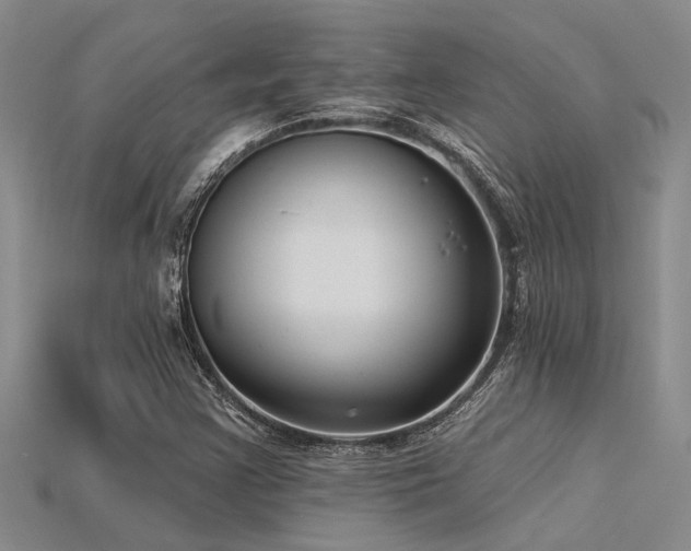 X0000115831355200911131457