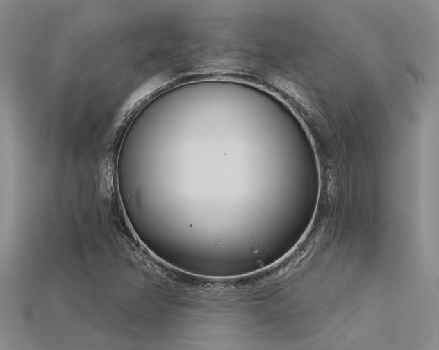 X0000115831358200911131457