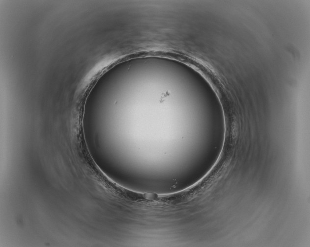 X0000115831359200911131457