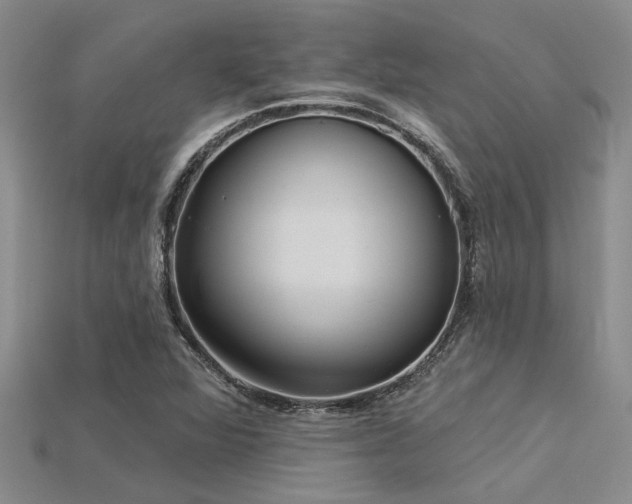 X0000115831360200911131457