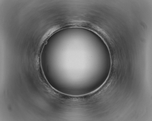 X0000115831362200911131457