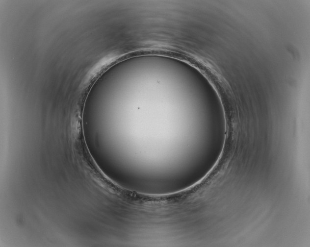 X0000115831363200911131457