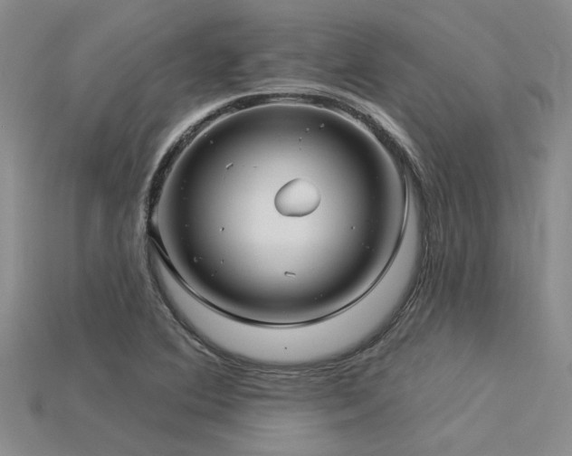 X0000115831364200911131457