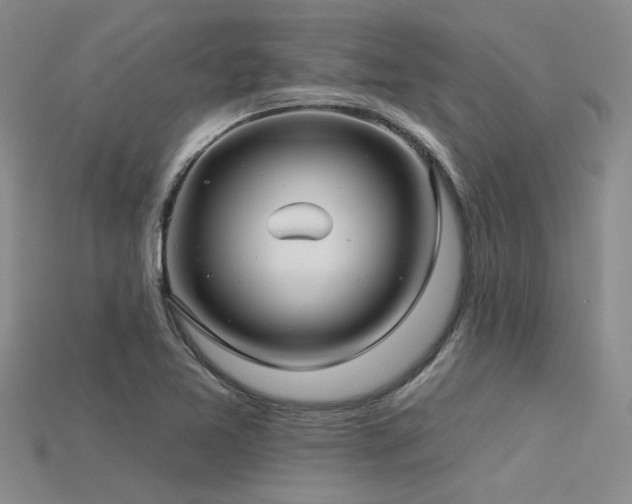 X0000115831365200911131457