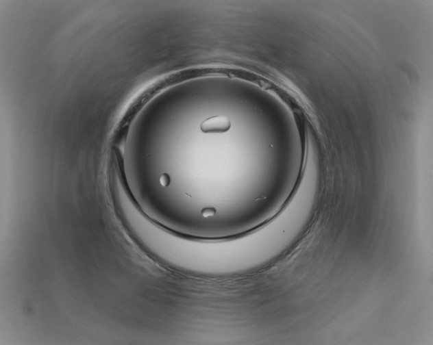 X0000115831368200911131456