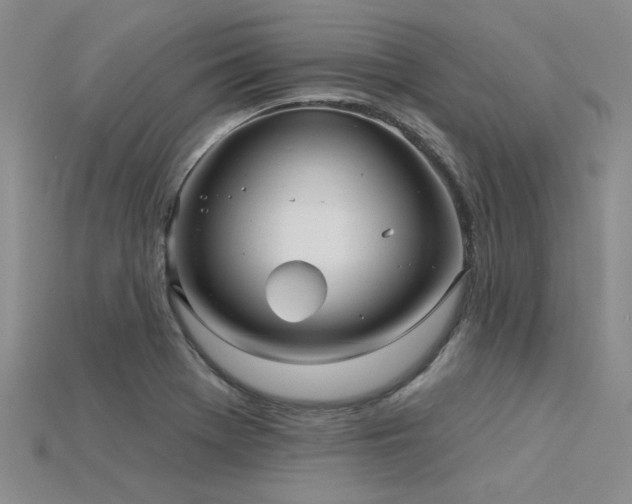 X0000115831369200911131456