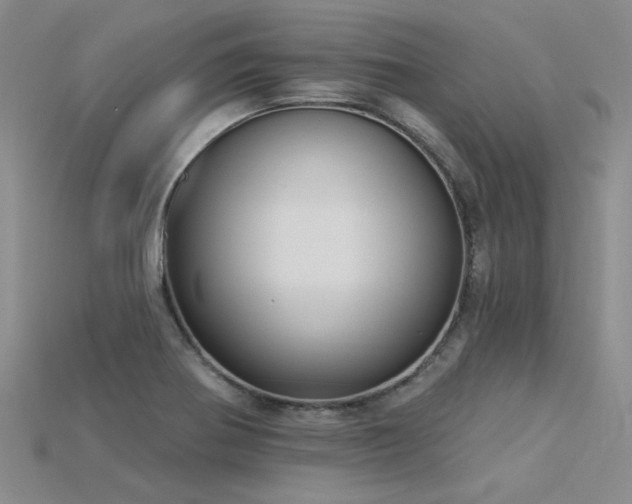 X0000115831370200911131456