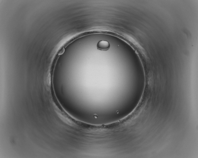 X0000115831372200911131456