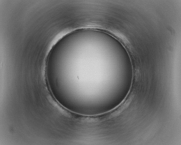 X0000115831374200911131456