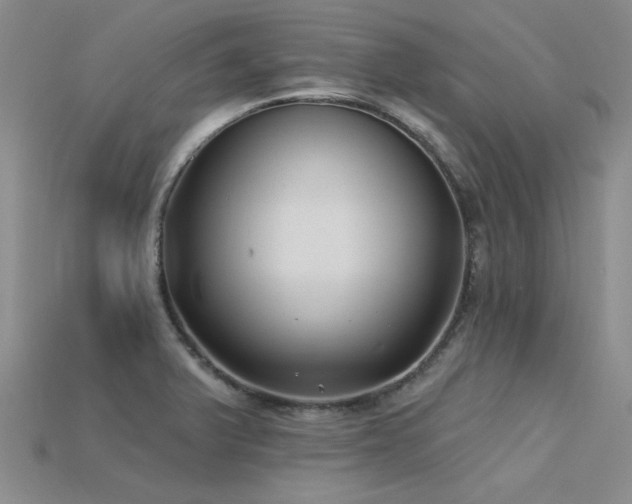 X0000115831375200911131456