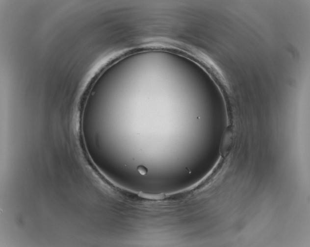 X0000115831376200911131456