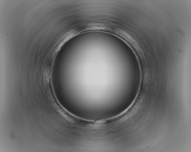 X0000115831377200911131456