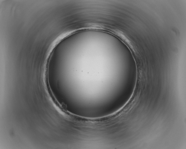 X0000115831379200911131456