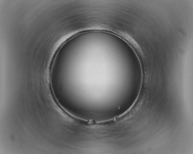 X0000115831380200911131456